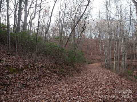000 Beacon Rock Lane, Waynesville, NC 28786