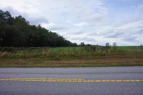 Tbd Hwy 393, Laurel Hill, FL 32567