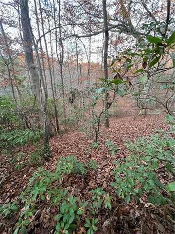 0 Moss cove Road, Blairsville, GA 30512