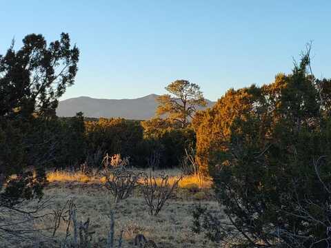 Road Runner, Mountainair, NM 87036