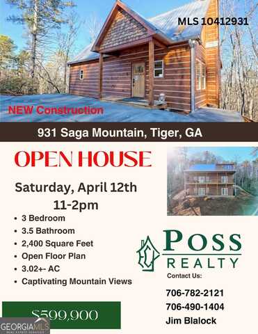 931 Saga Mountain, Tiger, GA 30576