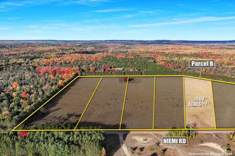 0 V/L 10.99 ACRES Niemi Road, Kaleva, MI 49645