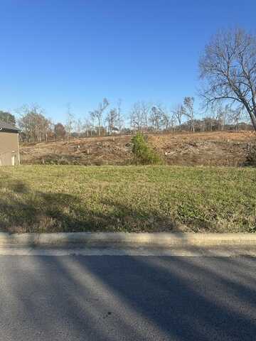 714 S Peach Brook Drive, Nixa, MO 65714