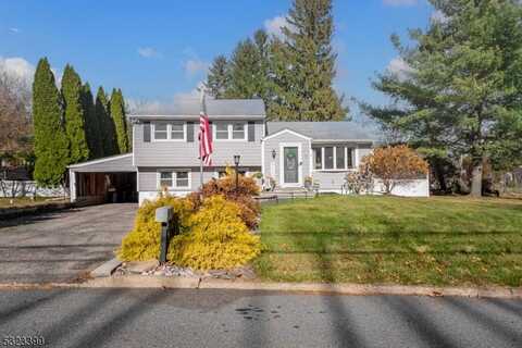 1 Stone Hill Rd, Randolph, NJ 07869