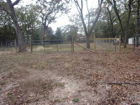 545 Holly Glen, Murchison, TX 75778