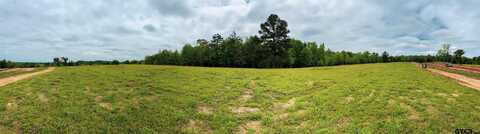 16817 Ridgeline Loop Lot 23, Winona, TX 75792