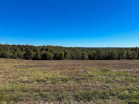 7195 S CR 314, Laneville, TX 75667