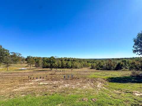 TBD S CR 314, Laneville, TX 75667