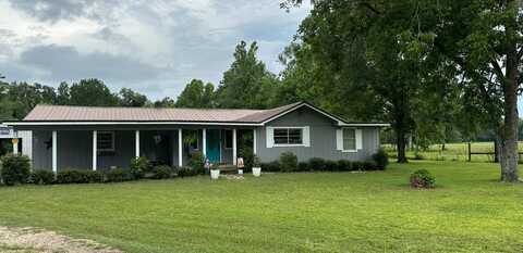 55 Davis Stevens Dr., Waynesboro, MS 39367