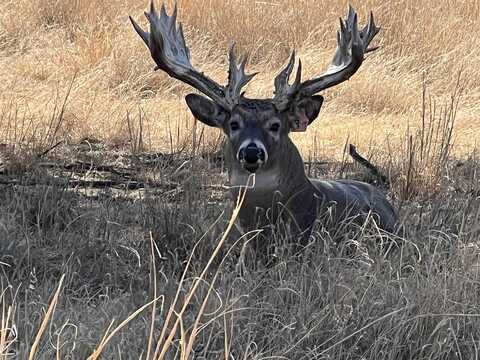 0 RD B, Jennings, KS 67643