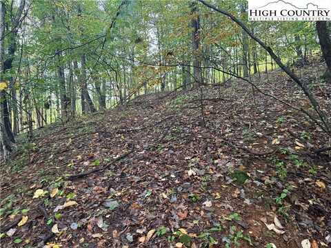 Lot 24 Walnut Hills Circle, Crumpler, NC 28617