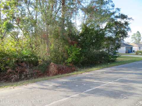 0 Tomahawk Avenue, Spring Hill, FL 34606