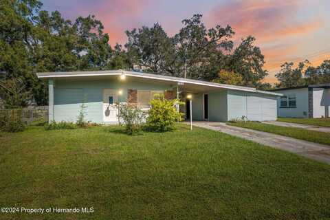 2014 E Robson Street, Tampa, FL 33610