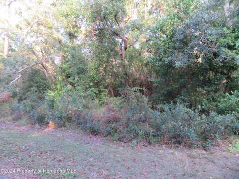 0 Monona Avenue, Spring Hill, FL 34606