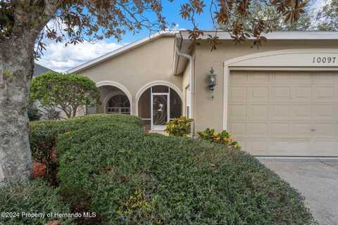 10097 Holly Berry Drive, Weeki Wachee, FL 34613