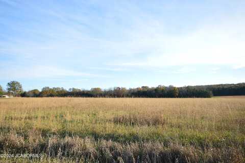 LOT 6 CO RD 191 ARROW AIRPARK SUBD., Flemington, MO 65650