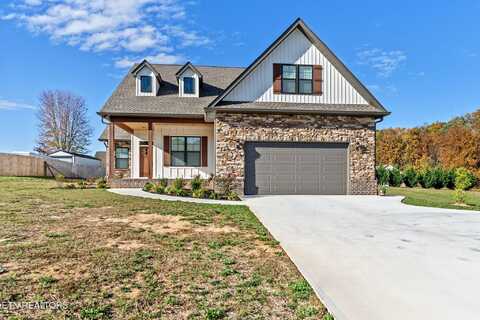 195 Wilshaw Court, Madisonville, TN 37354