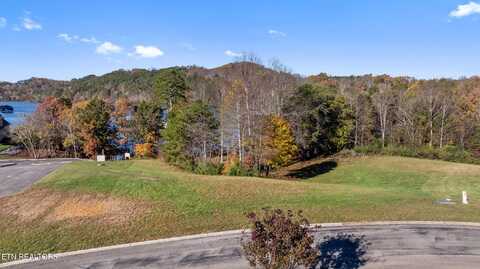 261 White Swan Drive, Vonore, TN 37885
