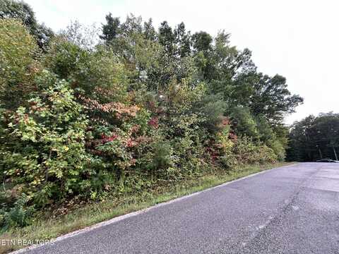 LT 1 Evergreen Drive, Oneida, TN 37841