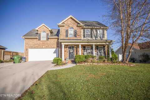 6923 Whitewater Drive, Corryton, TN 37721