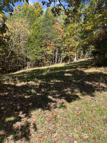 1 Plummer Road, Stamping Ground, KY 40379
