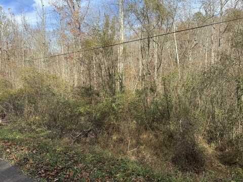 Maple Creek Road, Williamsburg, KY 40769