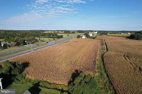 15519 COASTAL HWY, MILTON, DE 19968