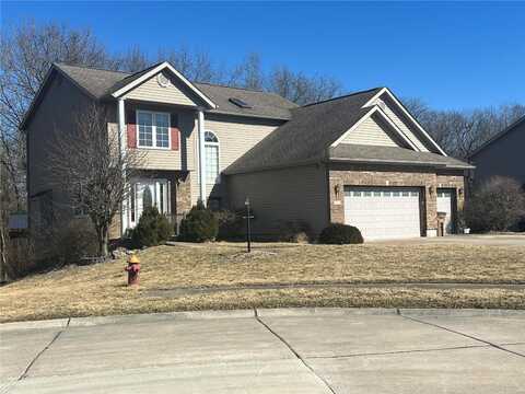 1059 Wolf Creek Court, Staunton, IL 62088