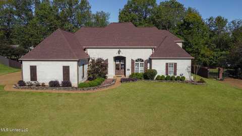 2922 Grove Meadows Drive, Nesbit, MS 38651