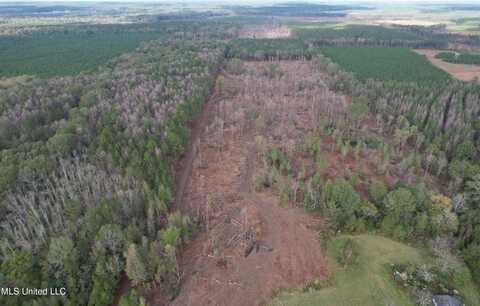 Holly Bush Road Road, Pelahatchie, MS 39145