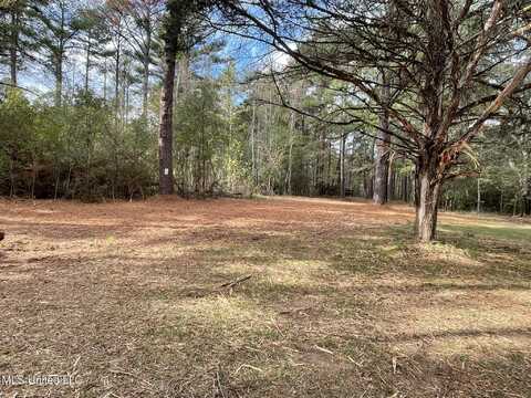 Lone Pine, Canton, MS 39046