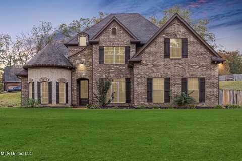 9879 Cypress Hollow Drive, Olive Branch, MS 38654