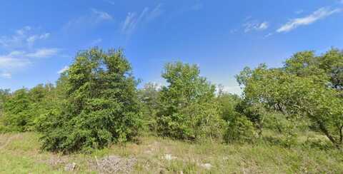 000 GUAVA LANE COURSE, OCKLAWAHA, FL 32179