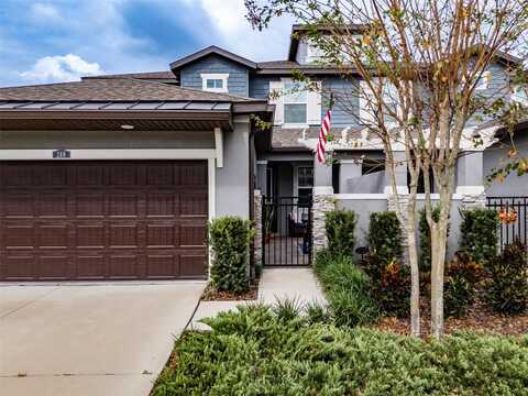 248 VILLA LUNA LANE, LUTZ, FL 33549