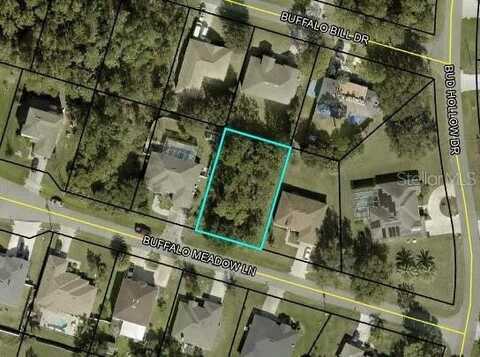 6 BUFFALO MEADOW LANE, PALM COAST, FL 32137