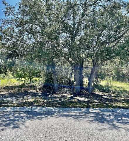 0 OGGIE LANE, HUDSON, FL 34667