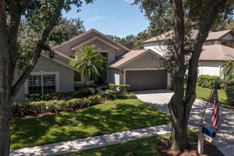 5407 TWIN CREEKS DRIVE, VALRICO, FL 33596