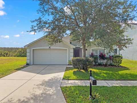 6226 DESERT PEACE AVENUE, LAND O LAKES, FL 34639