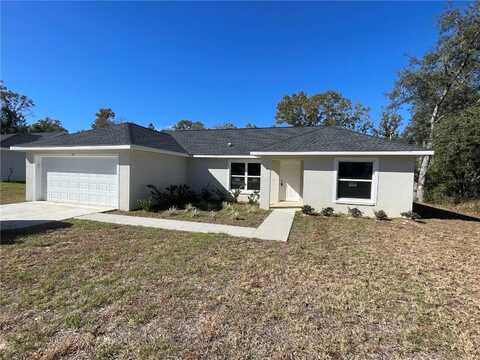 75 GUAVA PLACE DRIVE, OCKLAWAHA, FL 32179