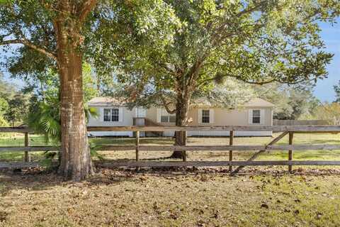 42200 MAGGIE JONES ROAD, PAISLEY, FL 32767