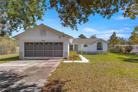 42142 MAGGIE JONES ROAD, PAISLEY, FL 32767