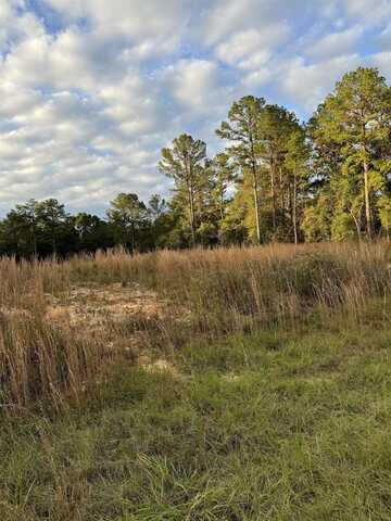 Lot 32 Meadow Lane Rd, Andalusia, AL 36421