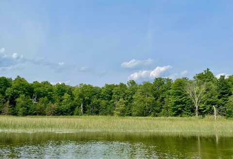 403 GUENTHER RIDGE, GAYLORD, MI 49735