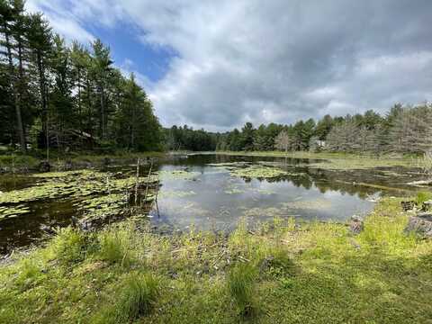 SHIAWASSEE TRAIL, GAYLORD, MI 49735