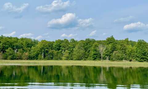 803 GUENTHER RIDGE, GAYLORD, MI 49735