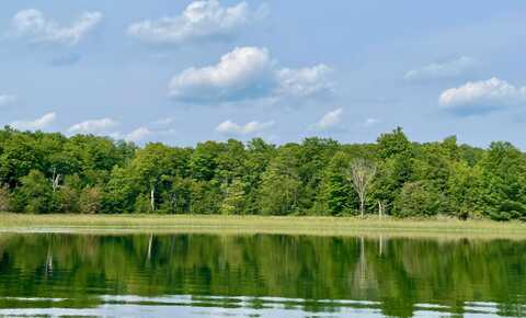 803 GUENTHER RIDGE, GAYLORD, MI 49735