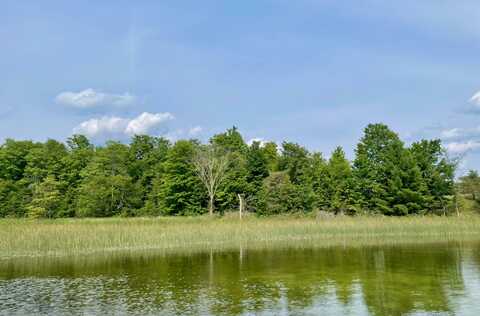 805 GUENTHER RIDGE, GAYLORD, MI 49735