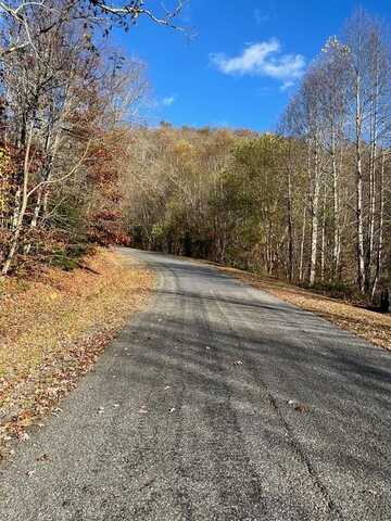 14M Ridges Overlook, HAYESVILLE, NC 28904