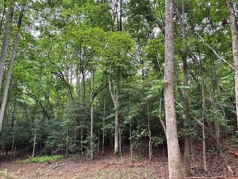 Lot 60 Timbercrest Lane, MURPHY, NC 28906