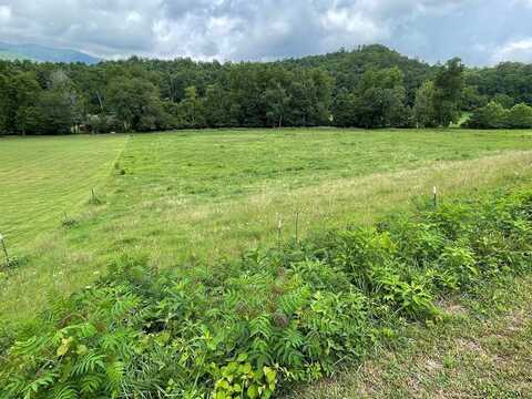 Lot 4B Eagle Fork, HAYESVILLE, NC 28904